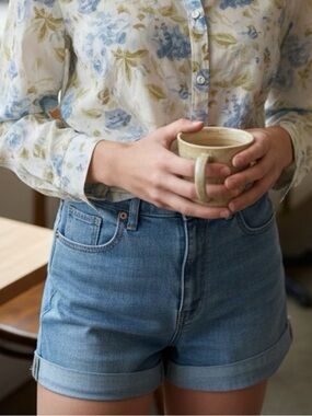 American Eagle Outfitters Light Blue Denim Jean Shorts